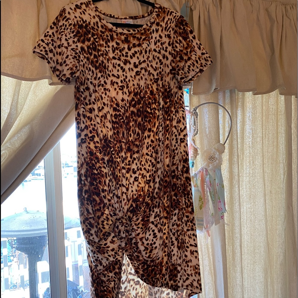 Lularoe Cheetah Carly Dress